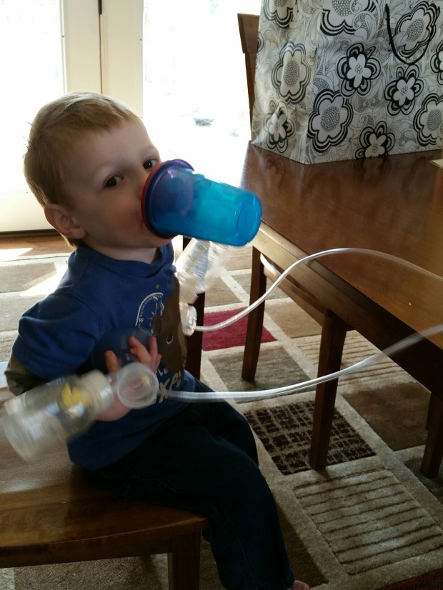 20150329_120326.jpg image