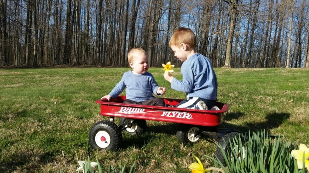 20160329_181637.jpg image